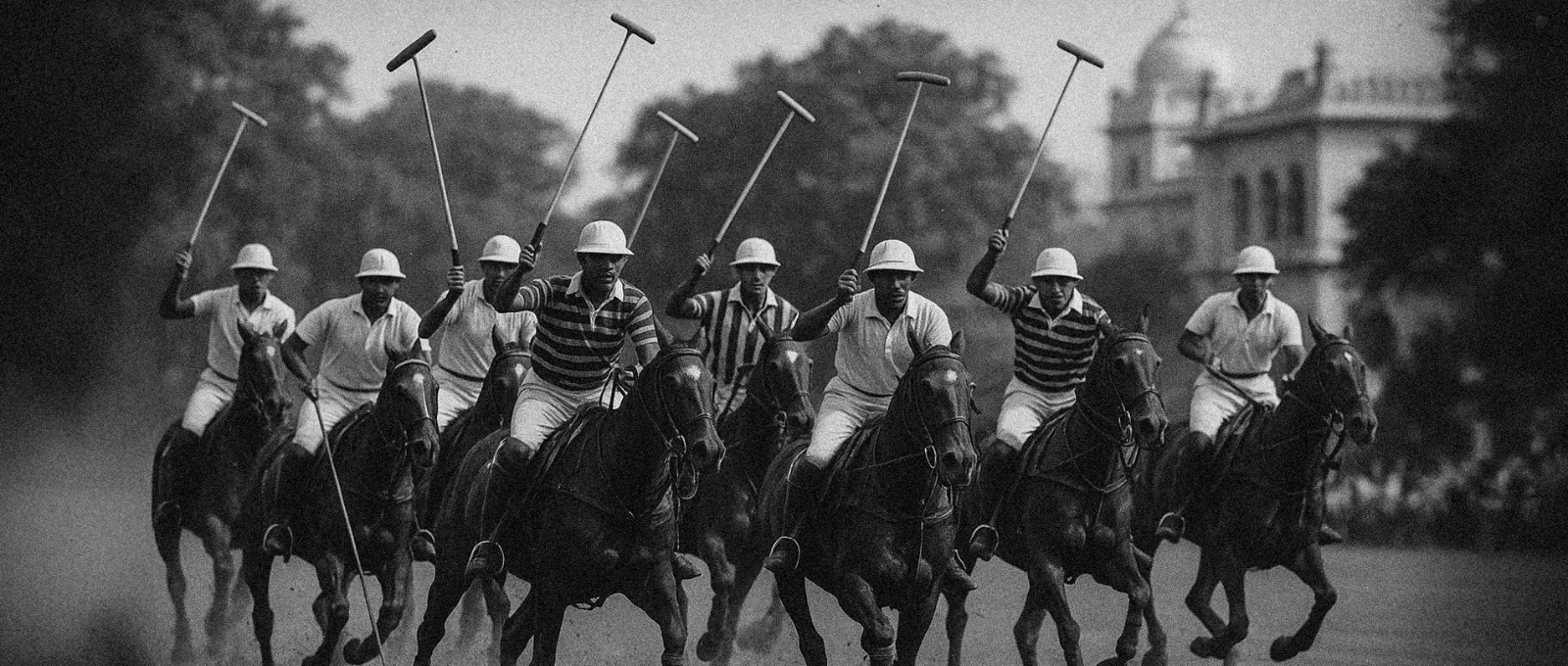 About Polo Tribe Apparel premium fashion brand in India